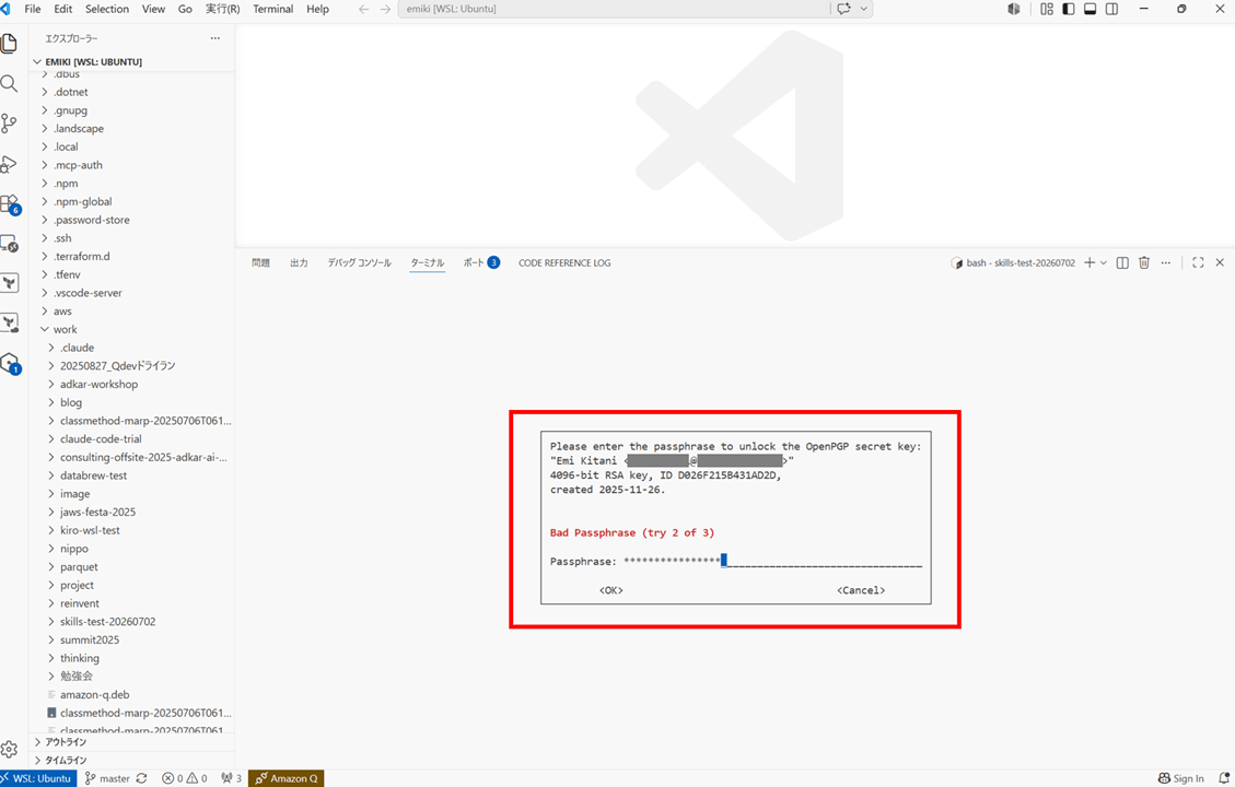 wsl-claude-code-skills-struggle_2