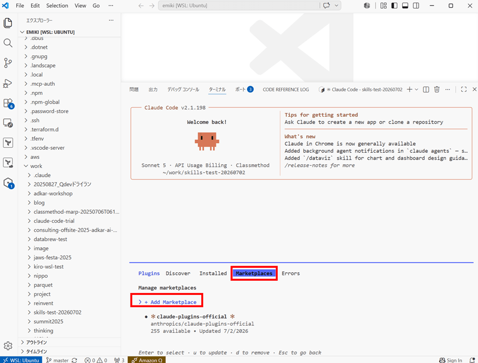 wsl-claude-code-skills-struggle_3