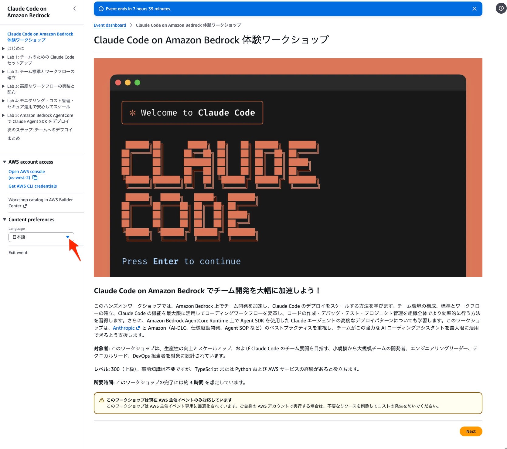 日本語化