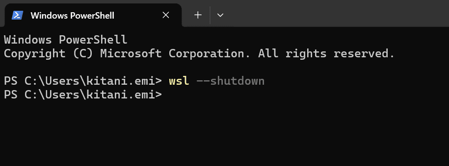 wsl-garbled-text-fix_1