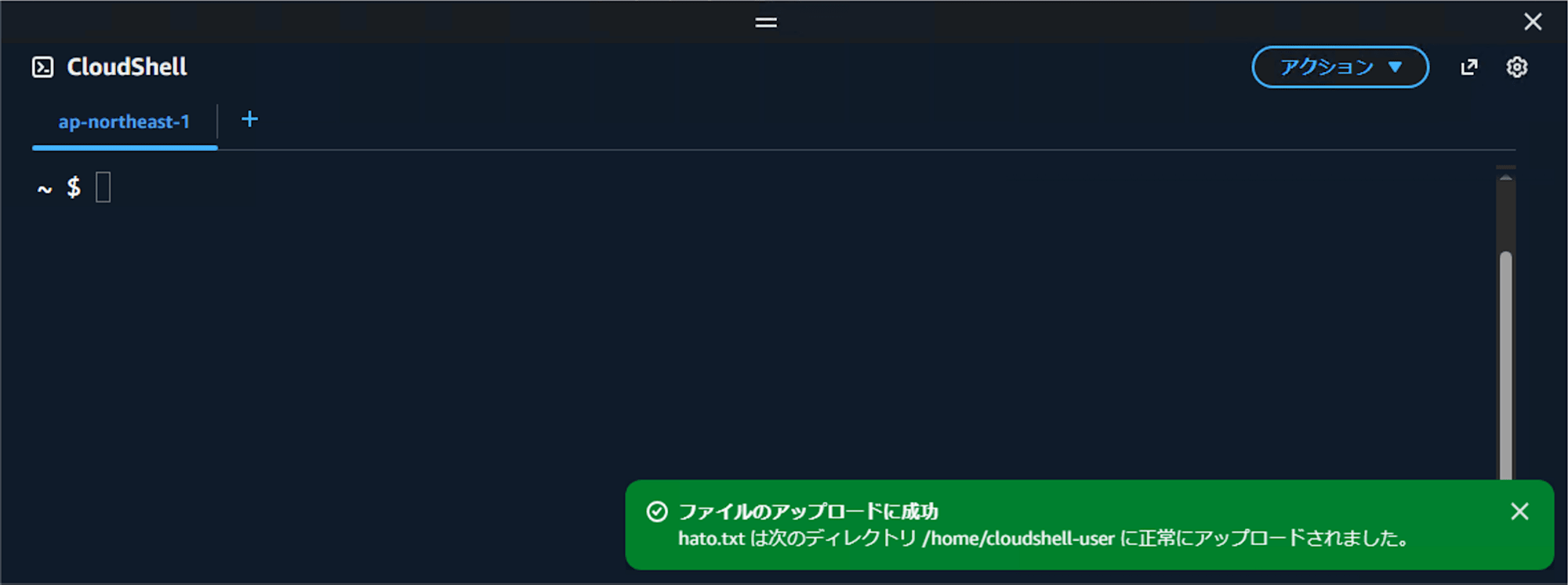 CloudShell File Upload Download 5