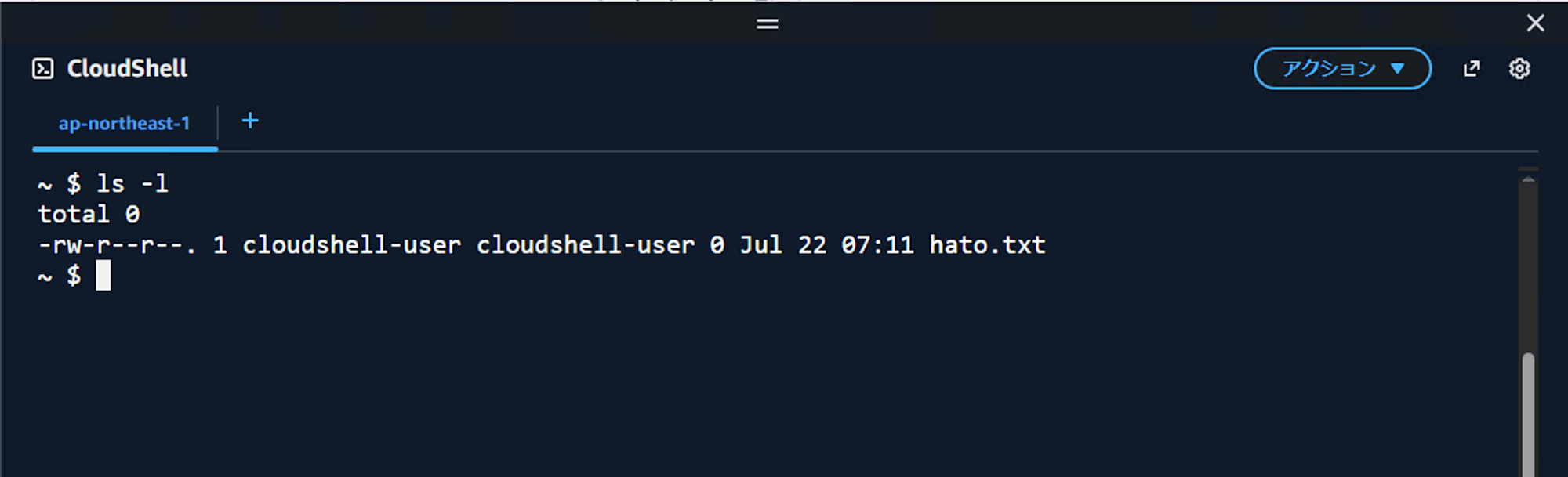 CloudShell File Upload Download 6