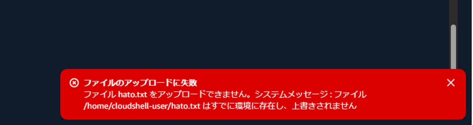 CloudShell File Upload Download 7