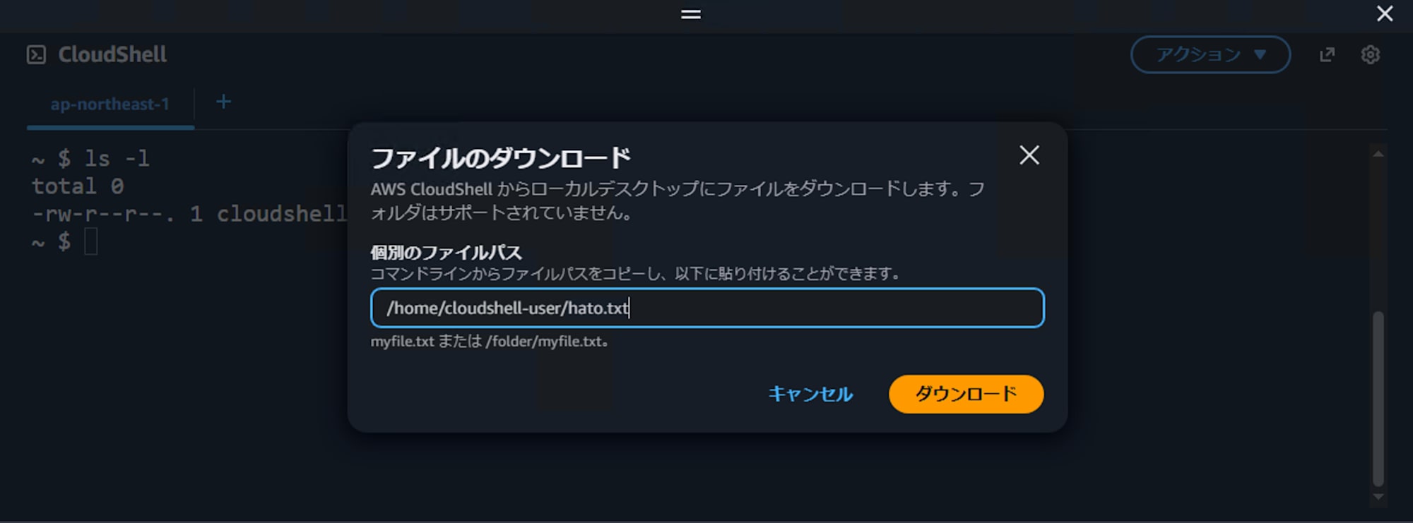 CloudShell File Upload Download 11