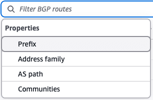 bgp-filtering-property