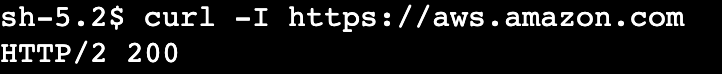 13_session-manager-terminal