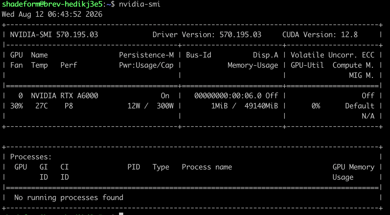 nvidia-smi output confirming RTX A6000