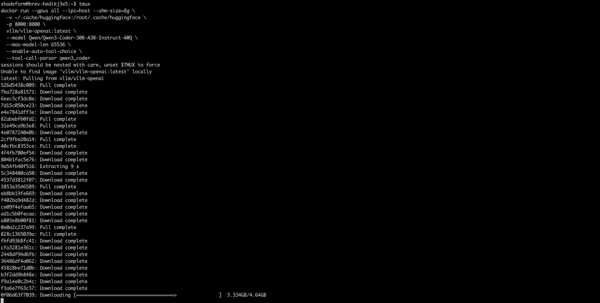 Docker pulling the vLLM image