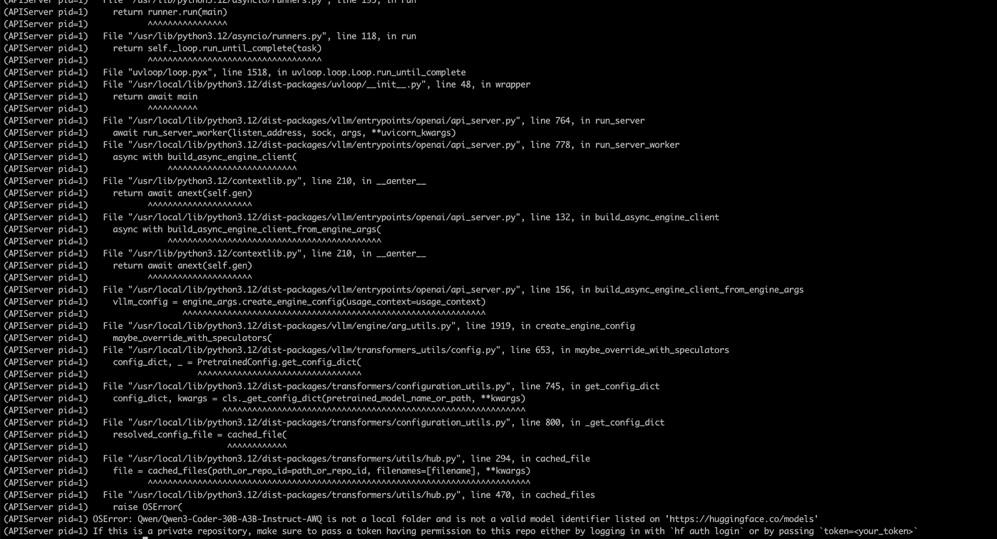 vLLM OSError - model identifier not found