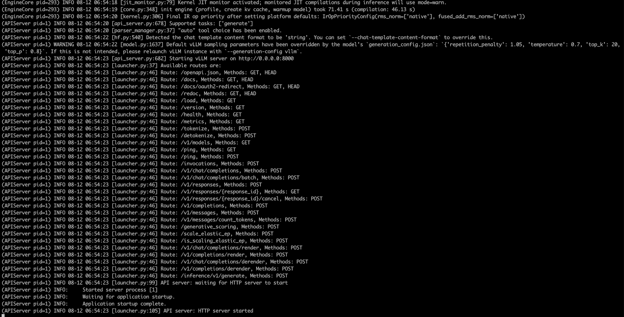 vLLM server started with available routes