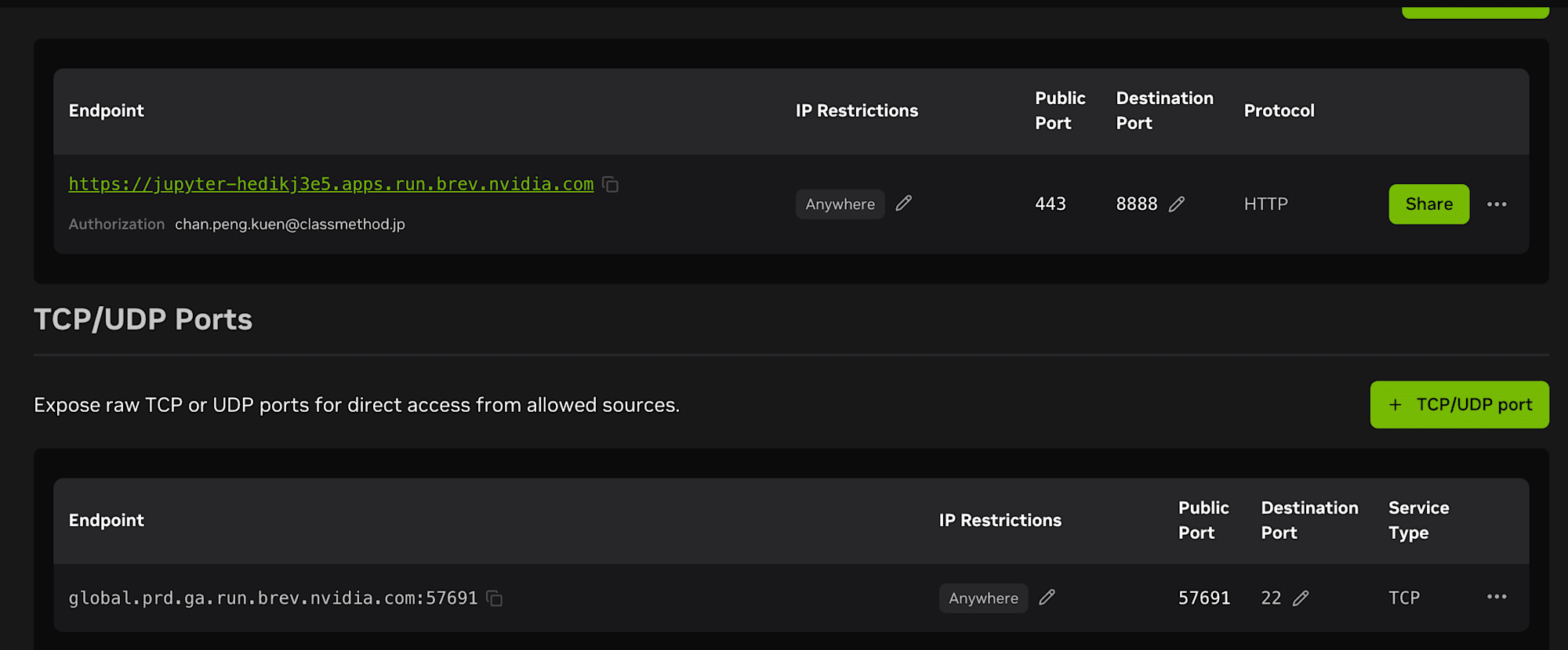 Access tab showing exposed endpoints and TCP ports