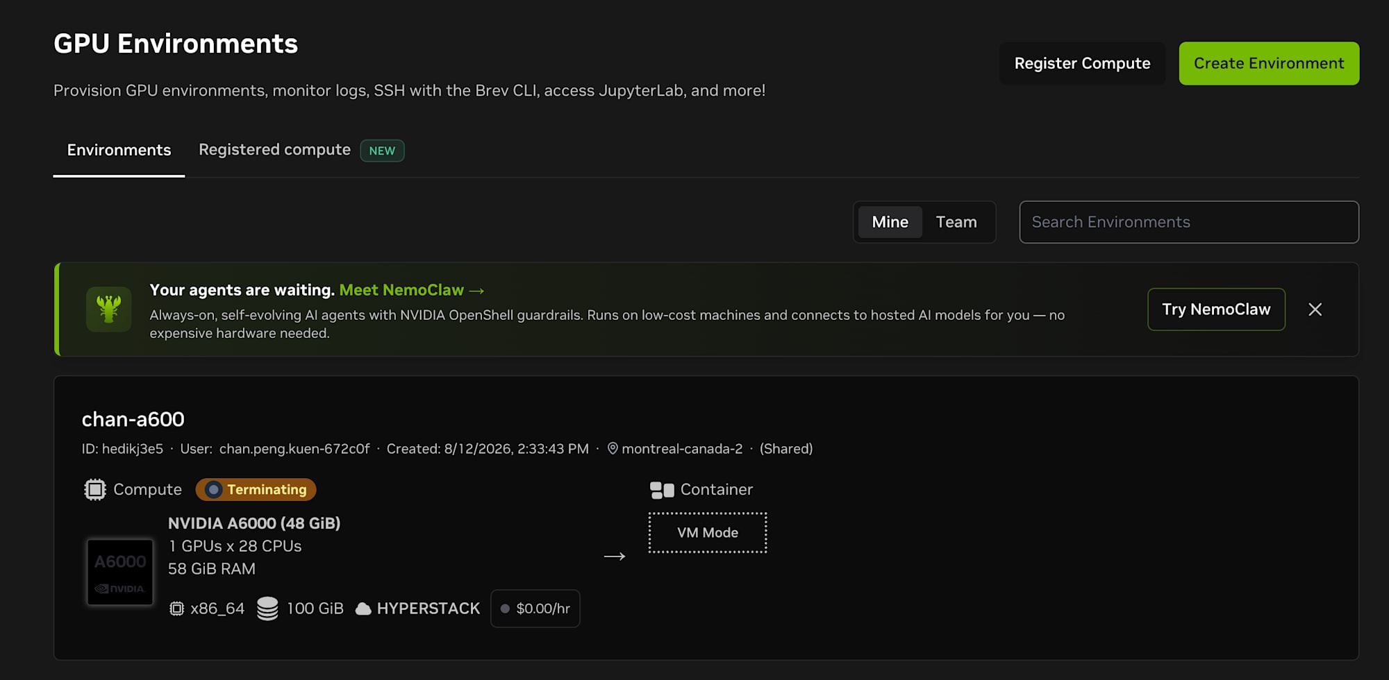 Instance terminating