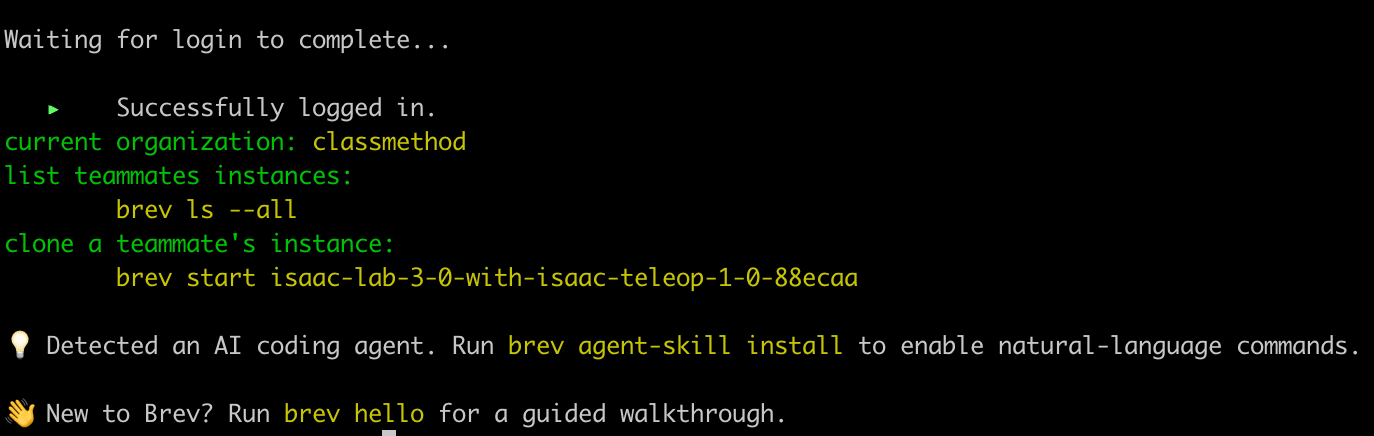 Terminal after successful login