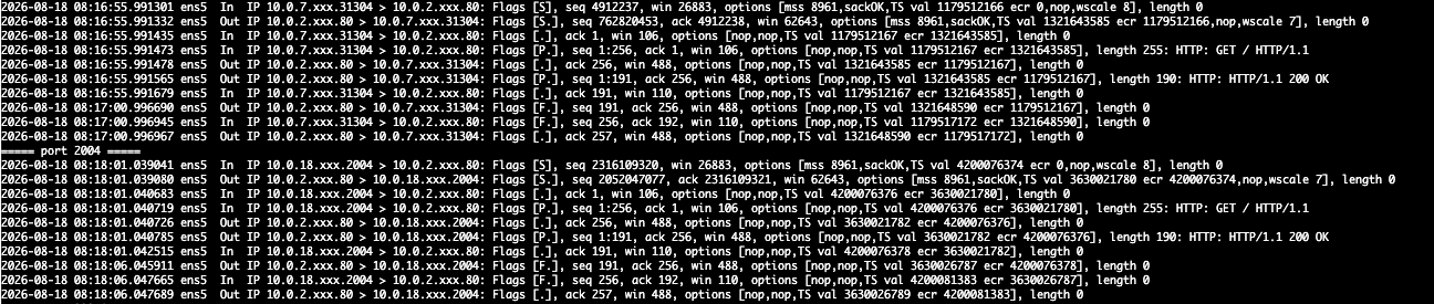 502 にならなかった接続の tcpdump 出力