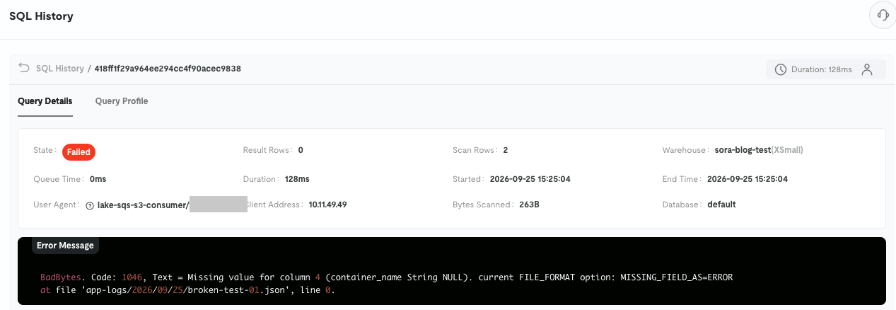 11-sr-lake-copy-into-error-missing-field