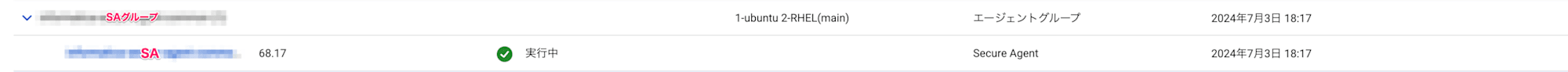 runtime-environment-only-one