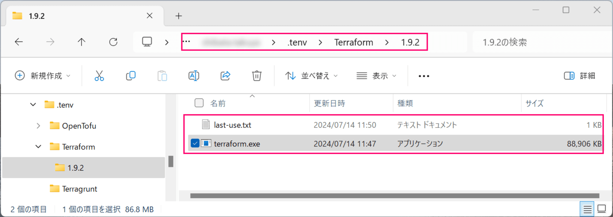 try-tenv-terraform-version-manager-08