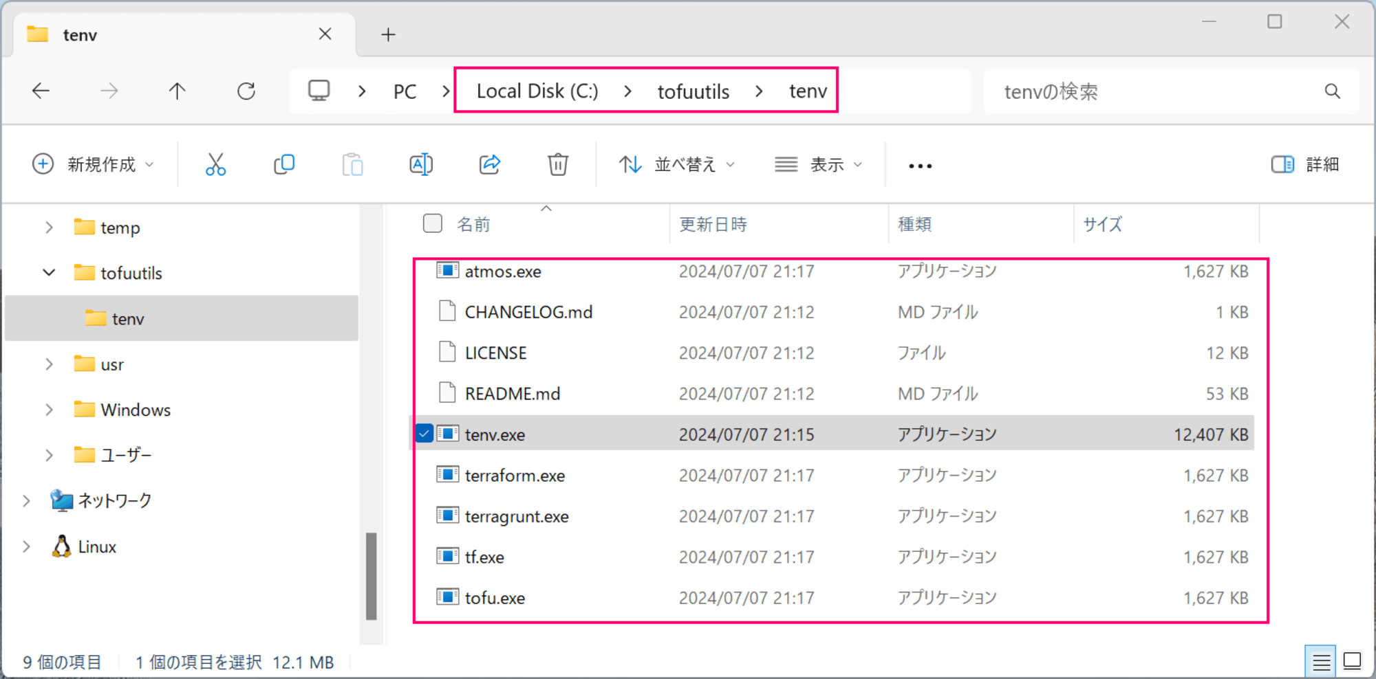 try-tenv-terraform-version-manager-01