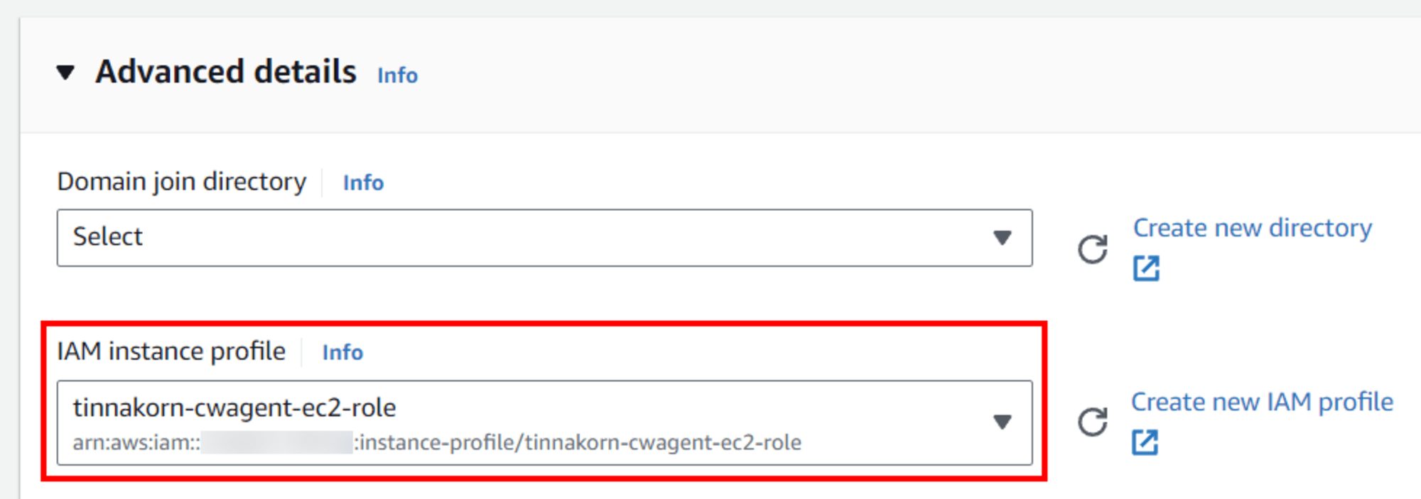 cwagent-ec2-role