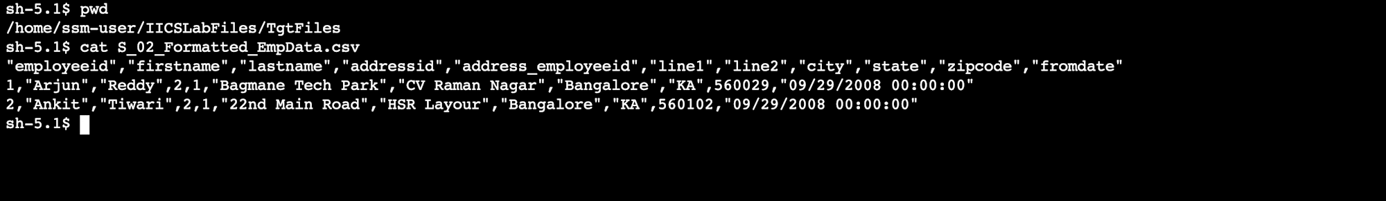 S_02_Formatted_EmpData.csv