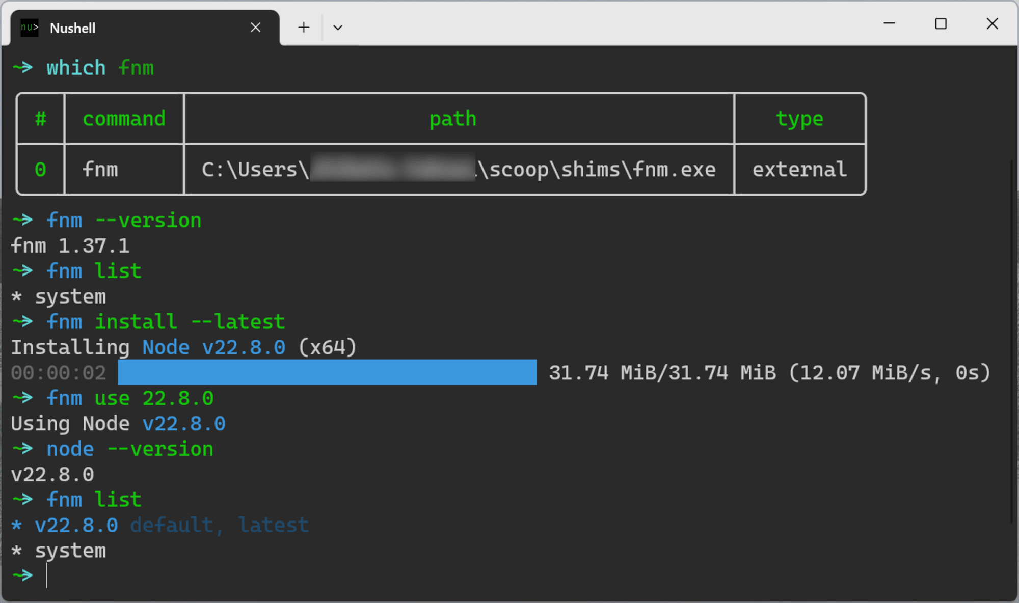 how-to-use-fnm-on-nushell-202409-01