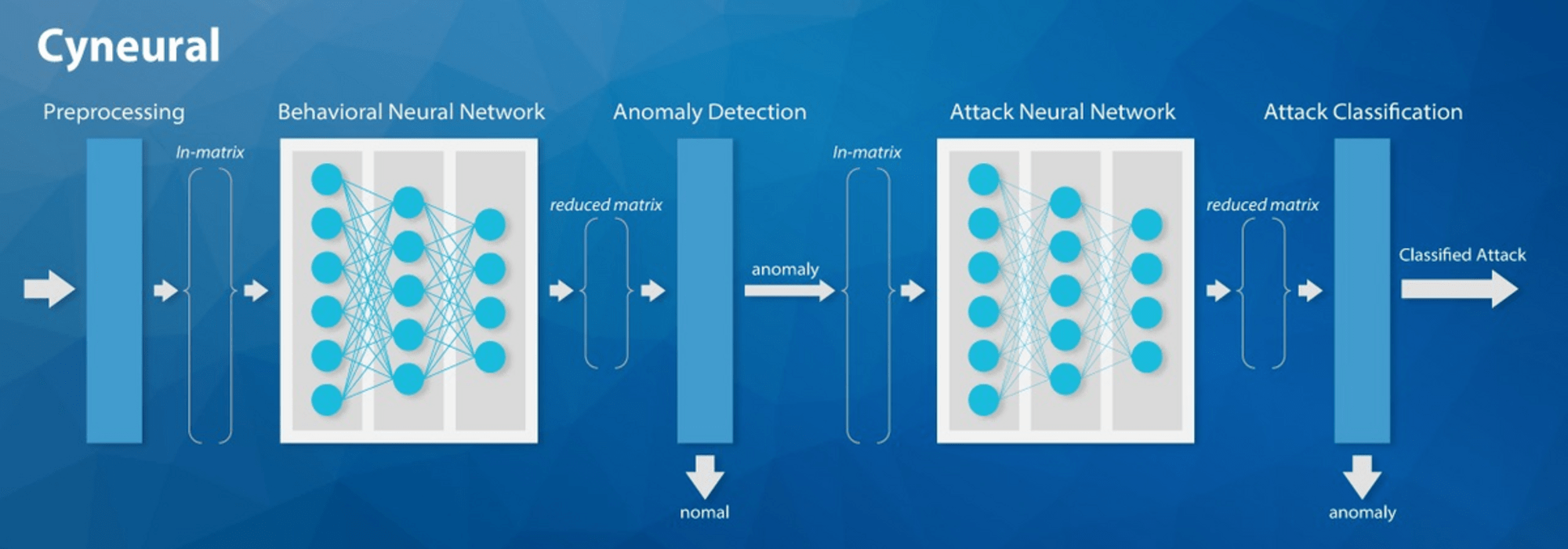 Cyneural