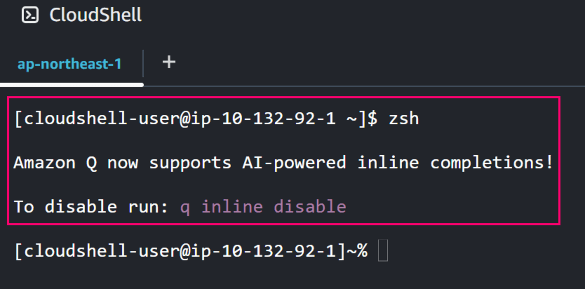 aws-cloudshell-supports-amazon-q-cli-06