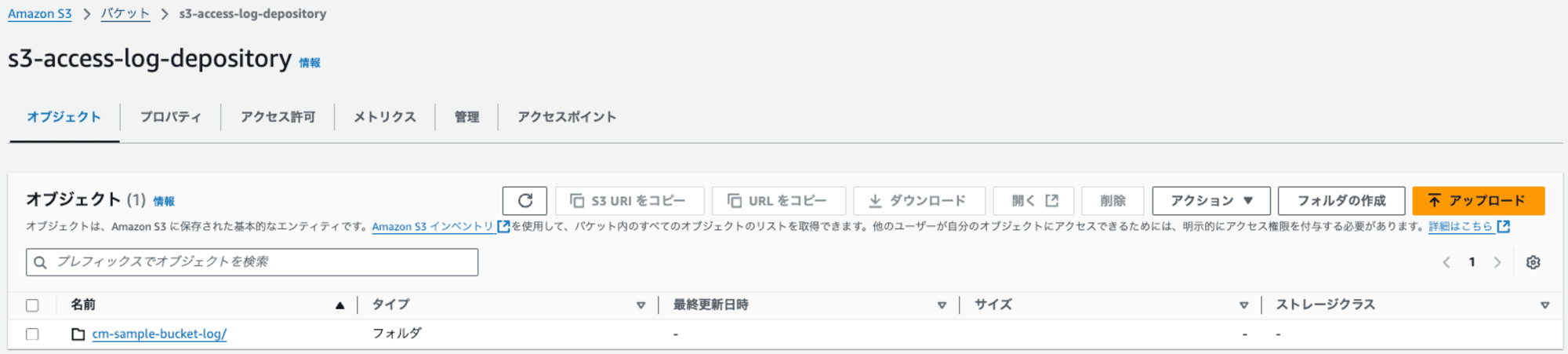 s3-access-log-deposiotry-prefix