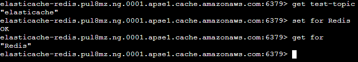 Elasticache transfer-10