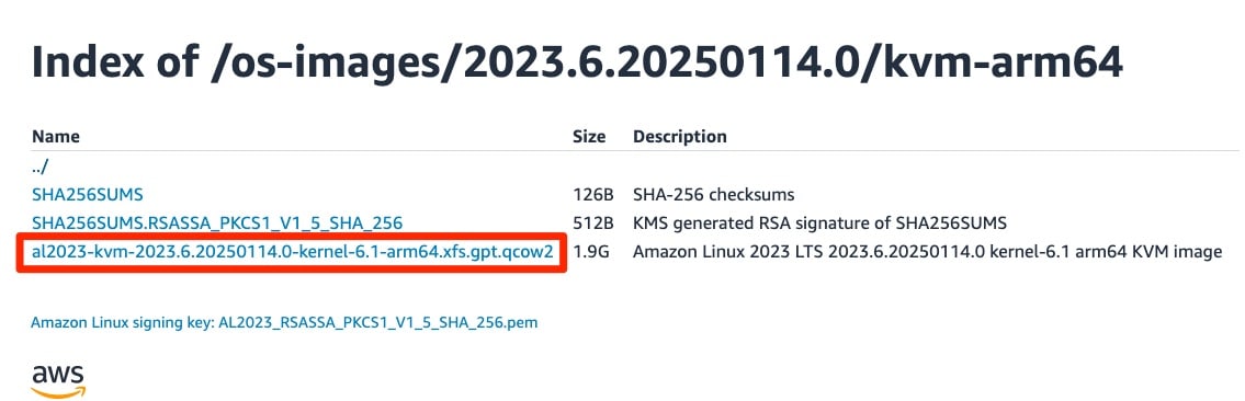 lvm-arm64-al2023