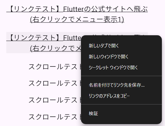 sr-flutter-web-04