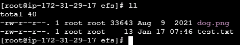 EFS with DataSync-1