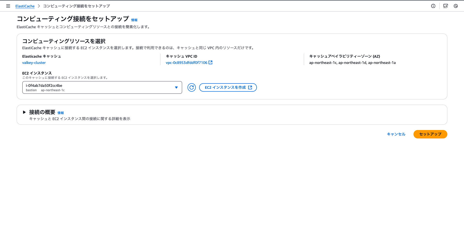 2025-01-26 at 17.22.19-ElastiCache Management Console - setup ec2 connection cluster