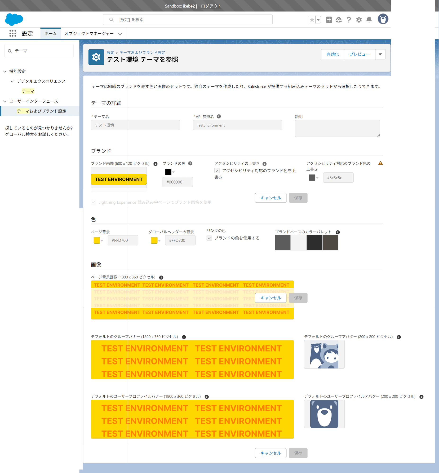 screencapture-classmethod-ikebe2-sandbox-my-salesforce-setup-lightning-setup-ThemingAndBranding-0S1BK00000007UX0AY-view-2025-02-14-12_17_11