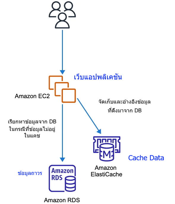Case1