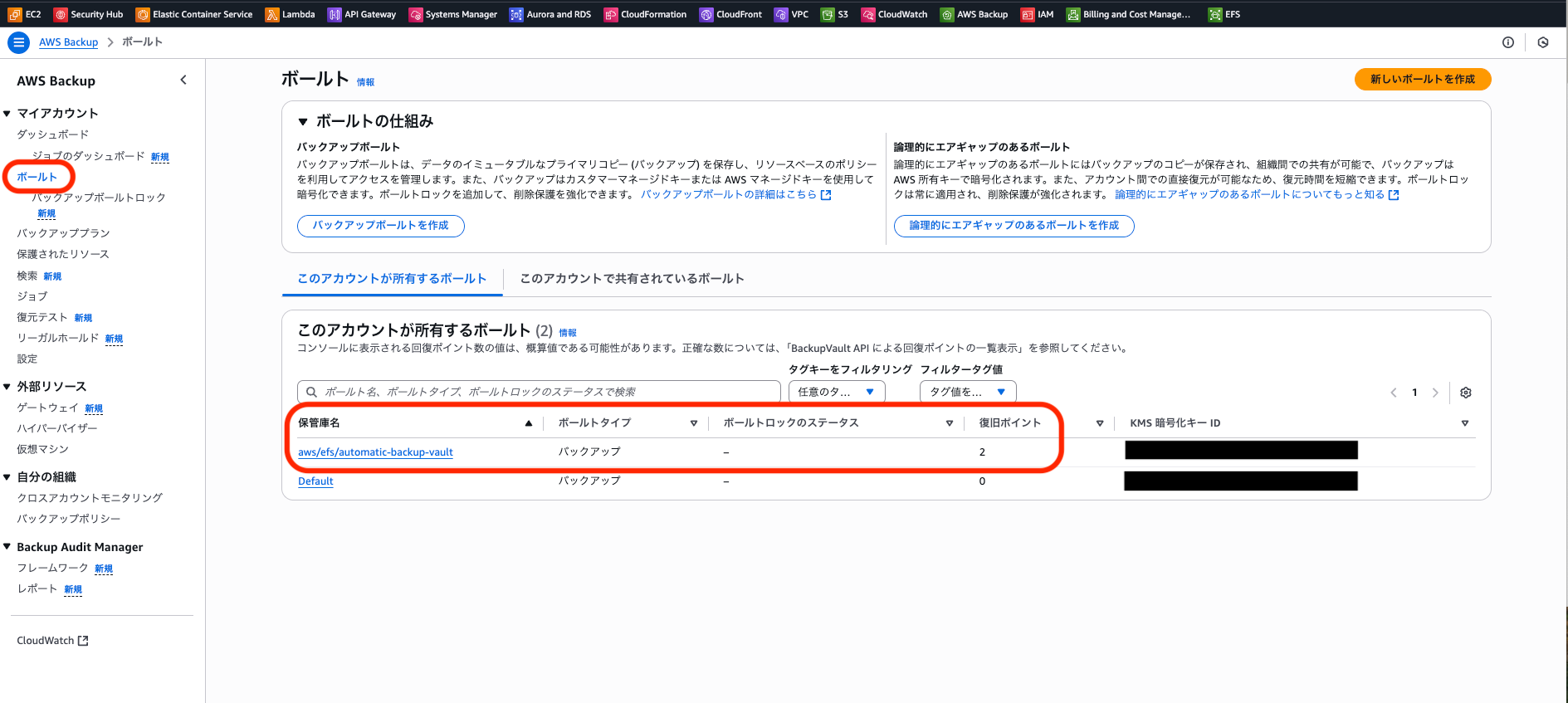 backup_check_1