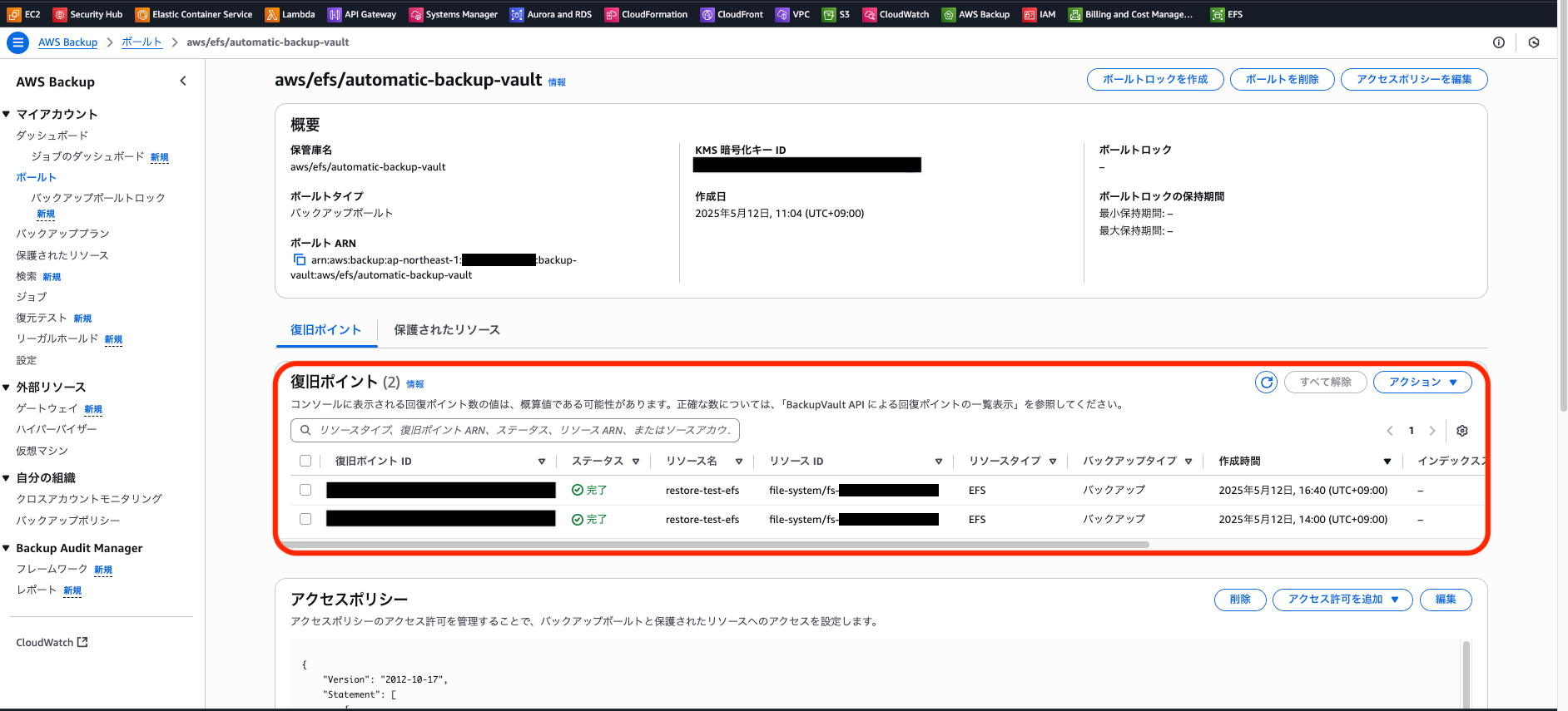 backup_check_2