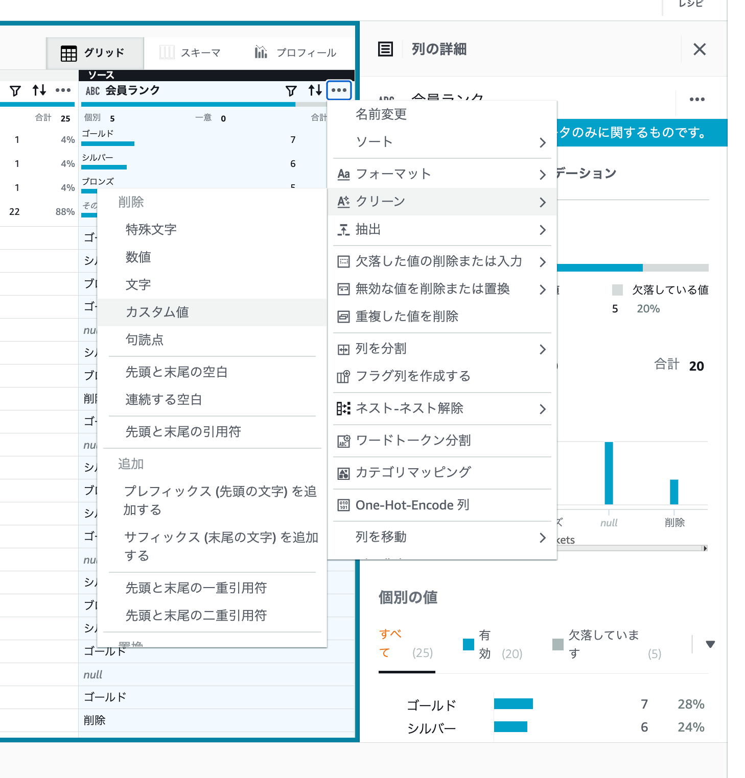 2025-05-16-aws-glue-databrew-dummy-customer-cleansing-20