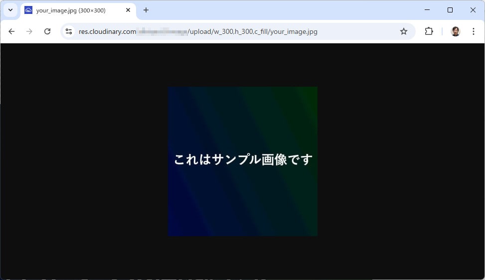 パラメータを設定し URL にアクセス