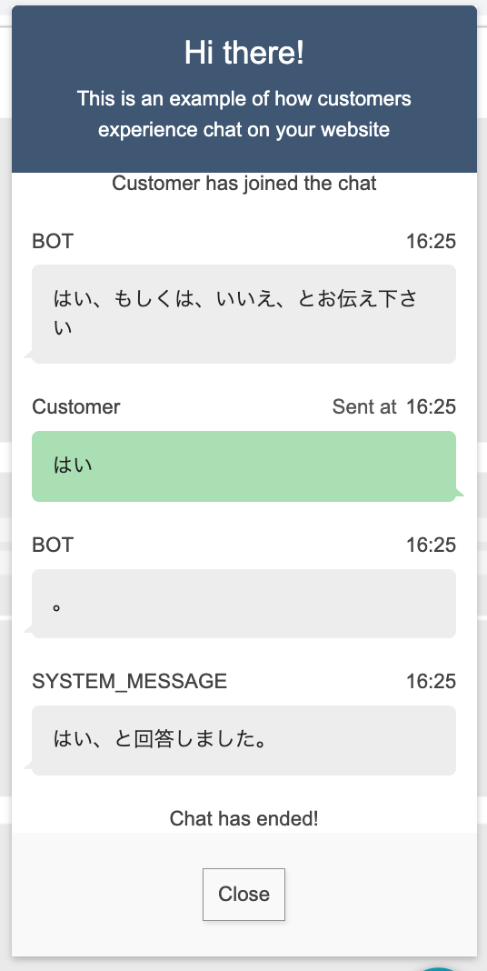 cm-hirai-screenshot 2025-05-21 16.25.21