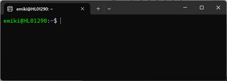 windows11-wsl2-vscode-setup_4