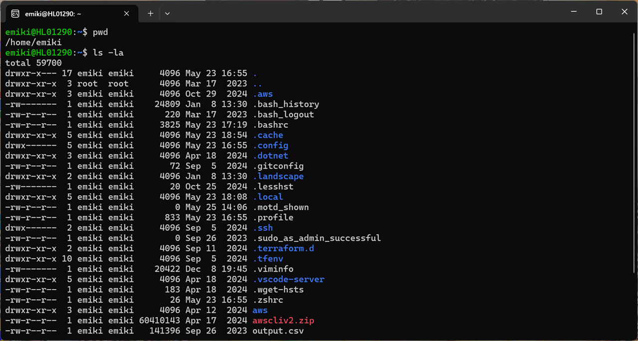 windows11-wsl2-vscode-setup_5