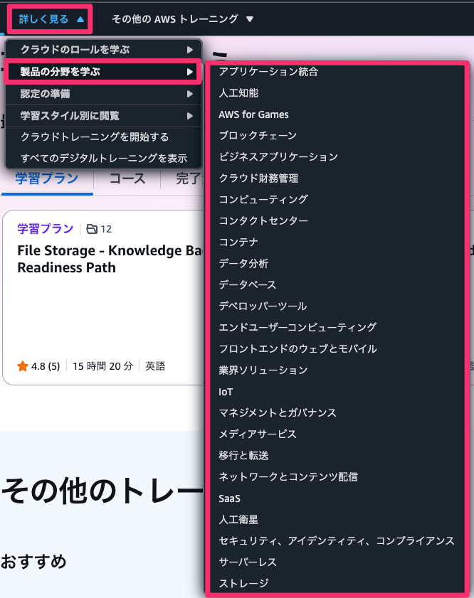 20250602_sbts_newui_15