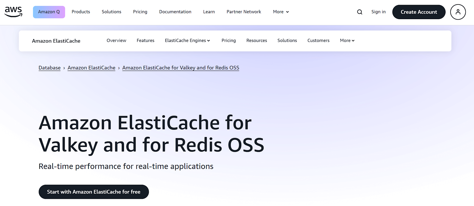 amazon-elasticaech-for-resdis-was-renamed-2-01