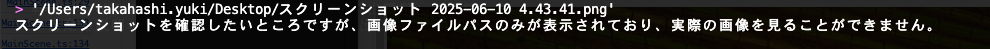 画像読み込み失敗例