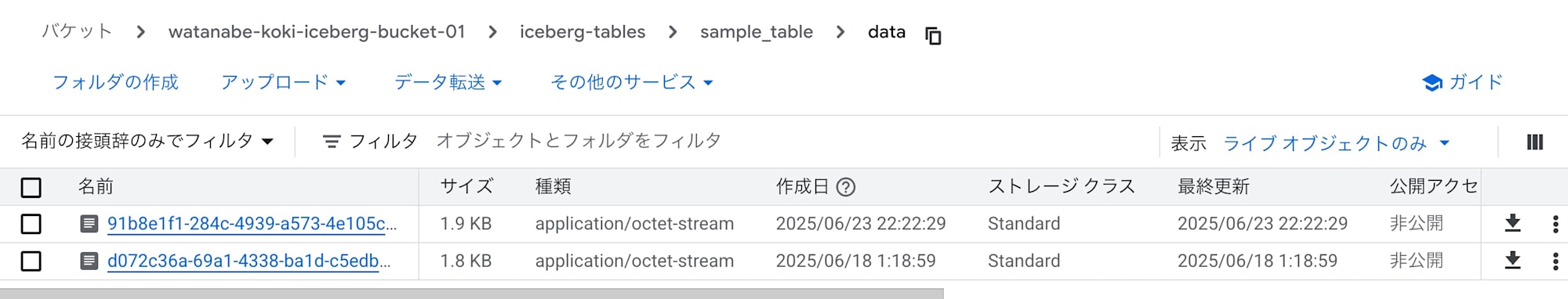 貼り付けた画像_2025_06_23_22_28
