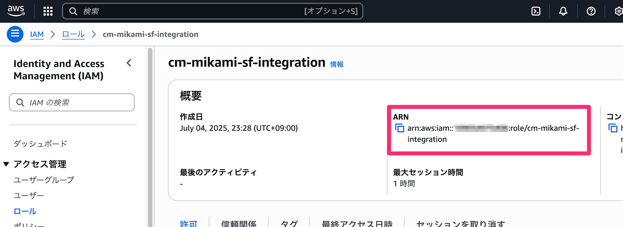 check_iam_arn