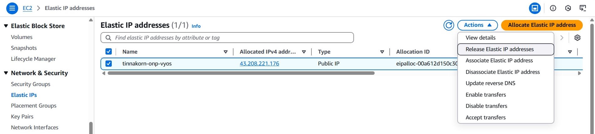 delete_resource-1_eip