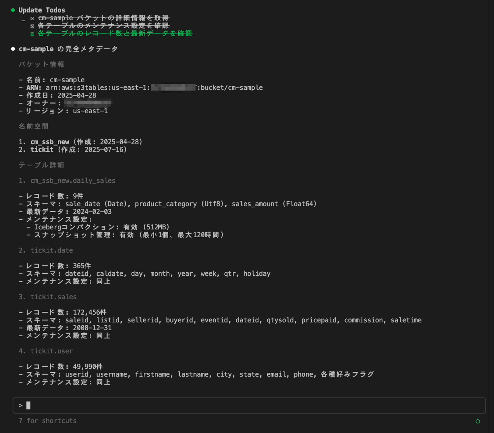 amazon-s3-tables-mcp-server-9