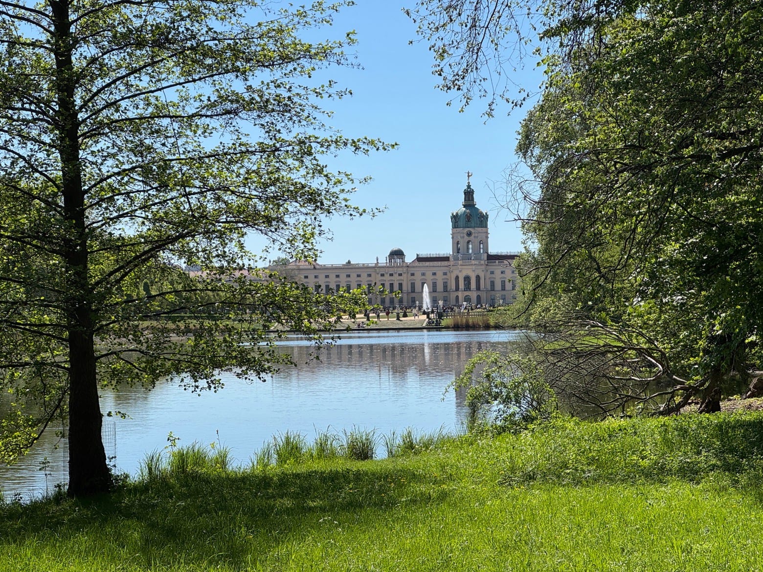 IMG_7344